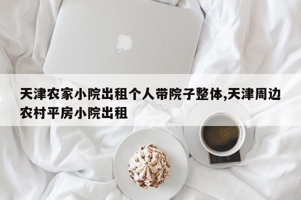 天津农家小院出租个人带院子整体,天津周边农村平房小院出租